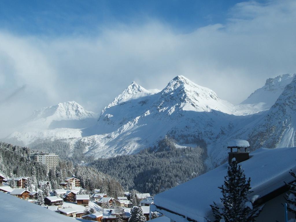 Erzhorn